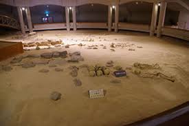 Image result for 土井ヶ浜遺跡　視線　故郷