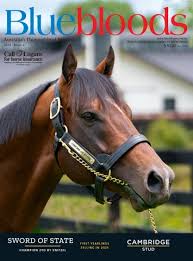 Image result for Bletchingly Badminton Club