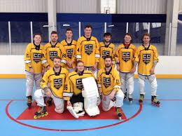 Image result for Cardiff Capitals