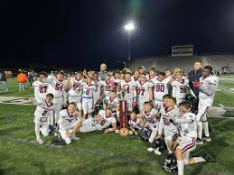 Image result for Hedingham Hawks Youth Football Club