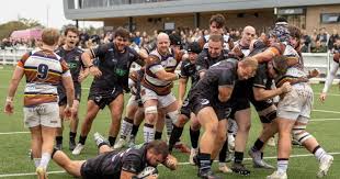 Image result for Southend Rugby Football Club Ltd