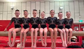 Image result for Wade Gymnastics Club