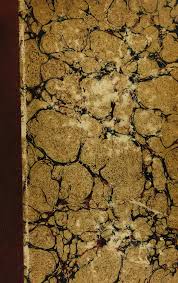 Attēlu rezultāti vaicājumam “Pachyphloeus melanoxanthus”