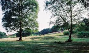 Image result for Charnwood Forest Golf Club