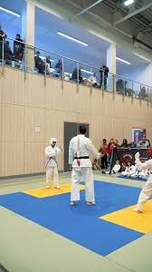 Image result for Goju.co.uk