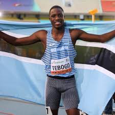 Image result for Tobogo