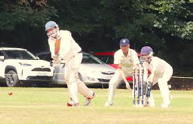 Image result for Whitchurch Wayfarers Cricket Club
