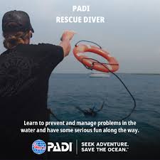 Image result for Robin Hood Dive School