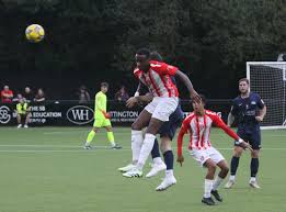 Image result for Bracknell Manics Fc