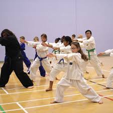 Image result for Bristol Taekwondo School