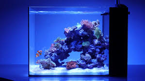 Image result for Peninsula Sub Aqua