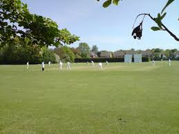 Image result for Blagdon Cricket Club