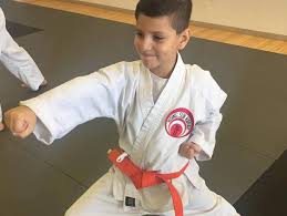 Image result for Rising Sun Judo Club