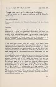 Attēlu rezultāti vaicājumam “Proutia betulina”