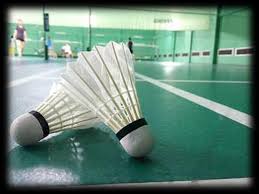Image result for Newcastle Medicals Badminton Club