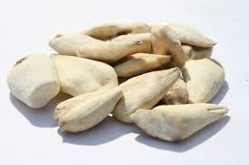 Attēlu rezultāti vaicājumam “Colchicum luteum”