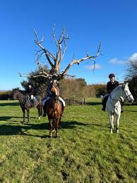 Image result for Brecon Badminton Club