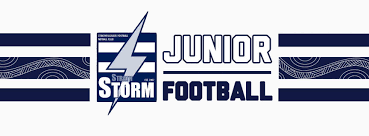 Image result for Storm Junior Netball Club