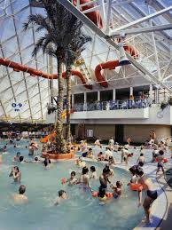 Image result for City Of Milton Keynes Swimming Club