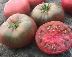 Afbeeldingsresultaat voor black sea man tomato