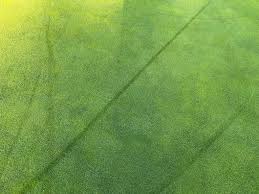 Image result for Rishton Golf Club Ltd