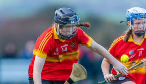 Image result for Moycarkey-Borris Gaa Club