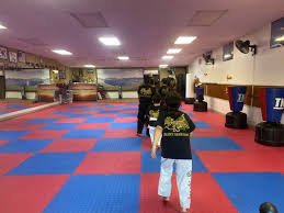 Image result for Kidderminster Tae Kwon Do Tigers