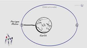 Image result for perigee