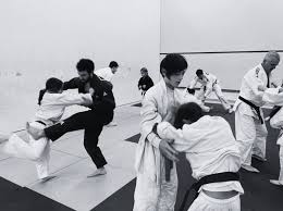 Image result for Exmouth Vikings Judo Club