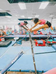 Image result for Acrobrats