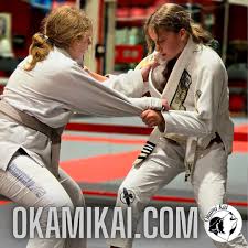Image result for Okami Karate & Fitness Schools