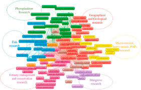 Image result for Rhabdosargus holubi