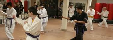 Image result for Ryusui-ryu Martial Arts School East Grinstead