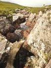 Natural population control, River Grudie. Close study of the photo will show - via Daymix