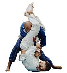 Image result for Bully Me Now Mixed Martial Arts