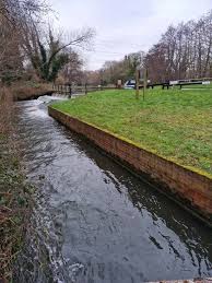 Image result for Weybridge Angling