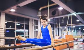 Image result for Tessaro Gymnastics Club