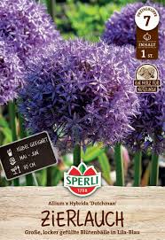 Image result for Zierlauch