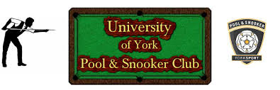 Image result for York University Pool Club
