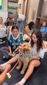 Image result for Bugaboo Bee Matthew McConaughey