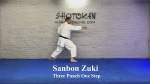 Image result for Junsui Shotokan Karate Do
