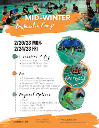 Image result for York Summer School Badminton Club