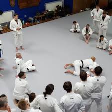 Image result for Didcot Judo and Karate Club