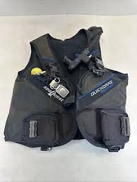 Image result for Seaquest Divers
