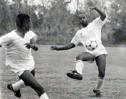 Image result for Trojans Squash Club