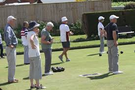 Image result for Redlynch and Hale Cricket Club