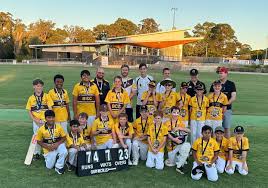 Image result for Mitcham Cricket Club