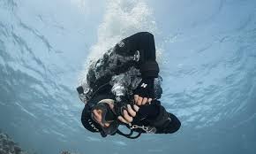 Image result for Duchy Divers