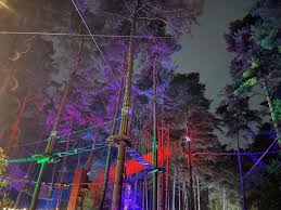 Image result for The Go Ape Experience (Swinley Forest)