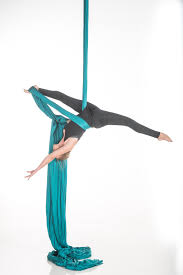 Image result for Aero Gymnastics Club